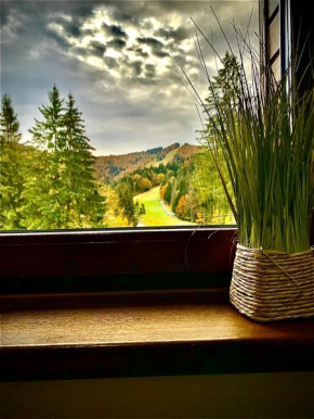 Apartamente-Garden Apart Predeal